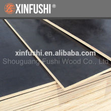 black face Film Faced Plywood for Thailand market